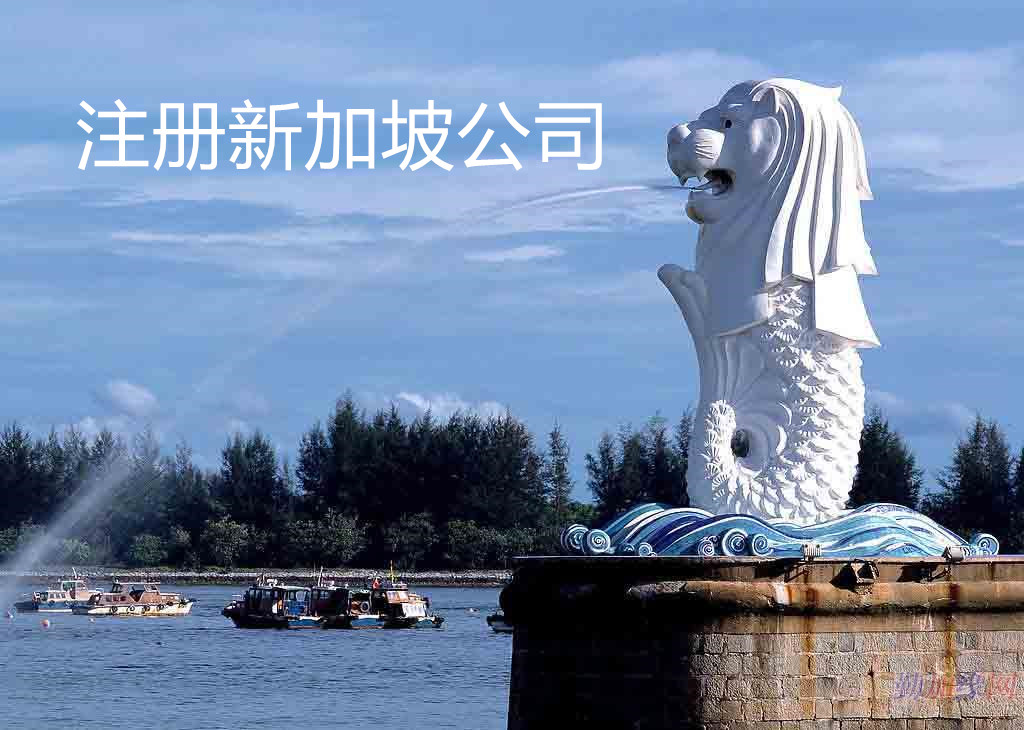注冊(cè)新加坡公司 注冊(cè)新加坡公司