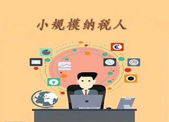 小規(guī)模納稅人 小規(guī)模納稅人