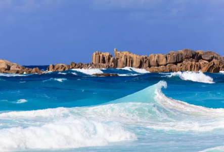 塞舌爾公司逾期年審有什么后果？